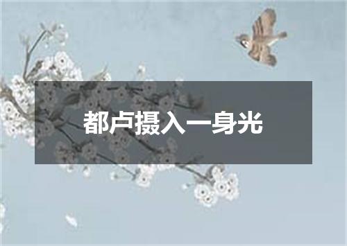 都卢摄入一身光