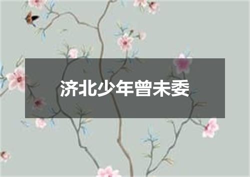 济北少年曾未委