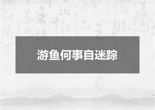 游鱼何事自迷踪