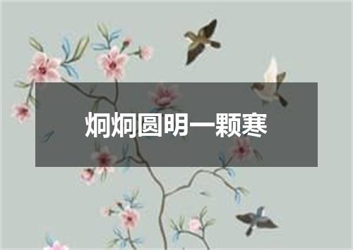 炯炯圆明一颗寒