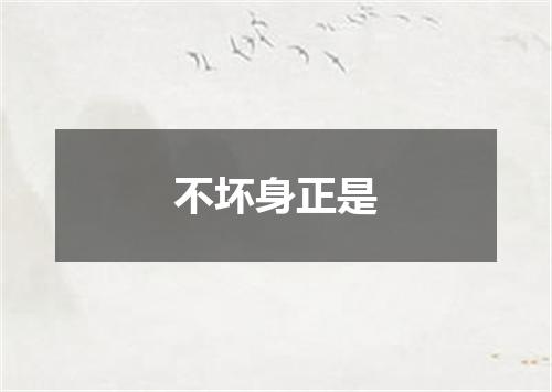 不坏身正是
