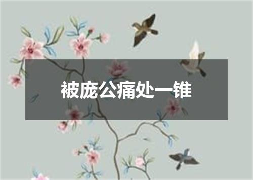 被庞公痛处一锥