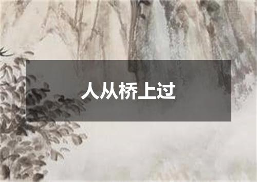人从桥上过