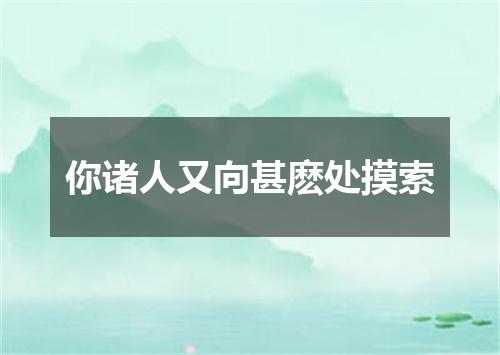 你诸人又向甚麽处摸索