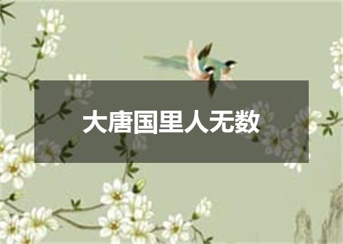 大唐国里人无数