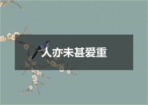 人亦未甚爱重