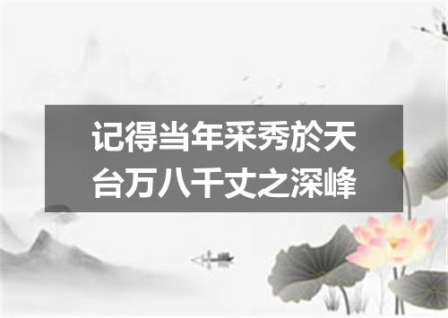 记得当年采秀於天台万八千丈之深峰