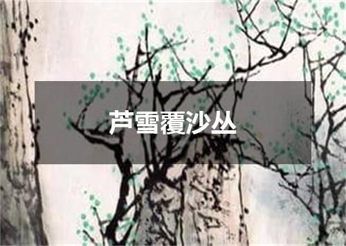 芦雪覆沙丛
