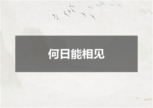 何日能相见