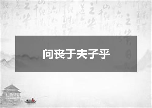 问丧于夫子乎