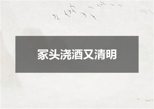 冢头浇酒又清明