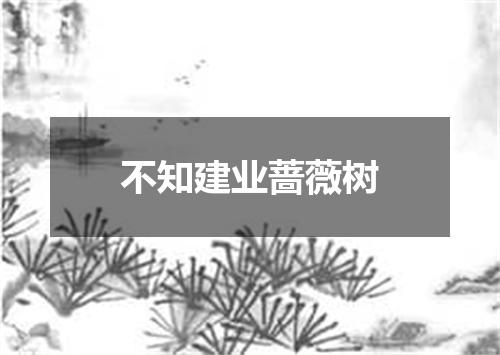 不知建业蔷薇树