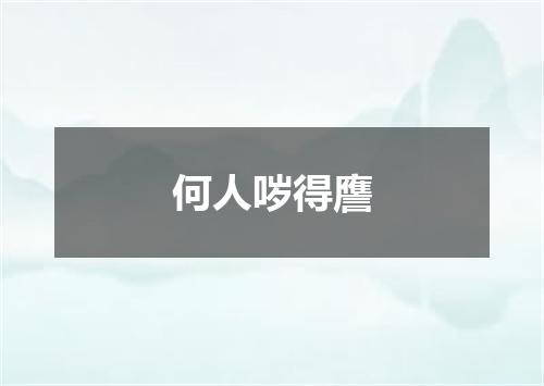 何人哕得譍