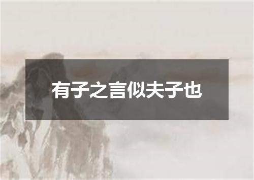 有子之言似夫子也