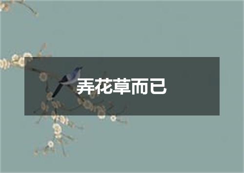 弄花草而已