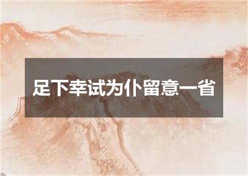 足下幸试为仆留意一省