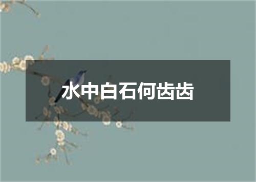 水中白石何齿齿