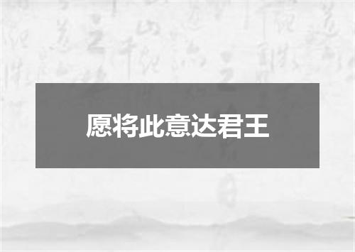 愿将此意达君王