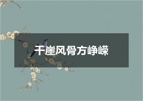 千崖风骨方峥嵘