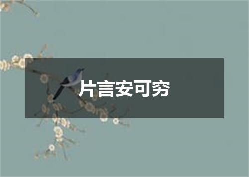 片言安可穷