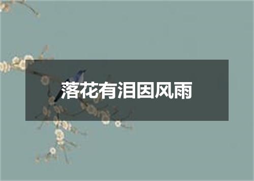 落花有泪因风雨