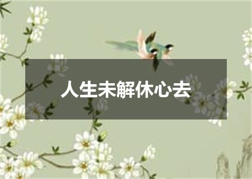 人生未解休心去