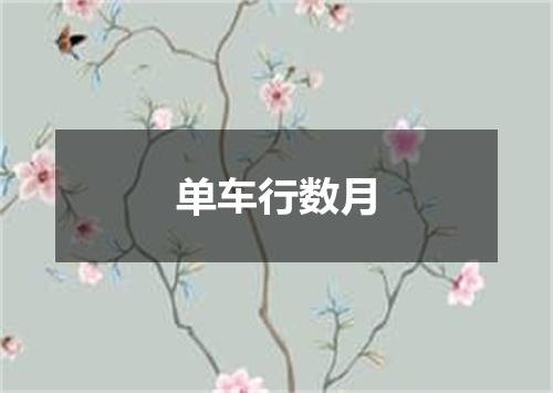 单车行数月