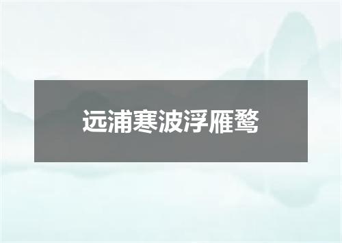 远浦寒波浮雁鹜
