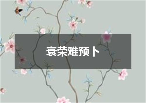 衰荣难预卜