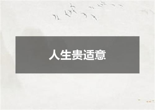 人生贵适意