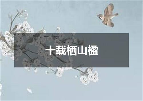 十载栖山楹