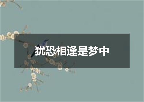 犹恐相逢是梦中