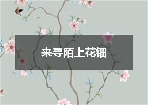 来寻陌上花钿
