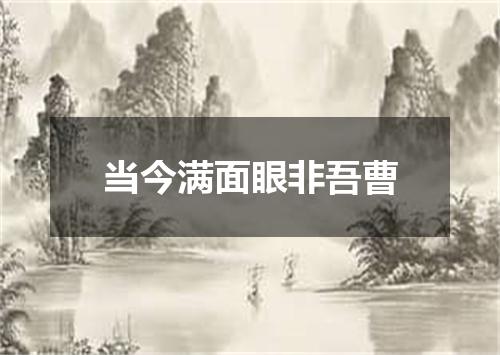 当今满面眼非吾曹