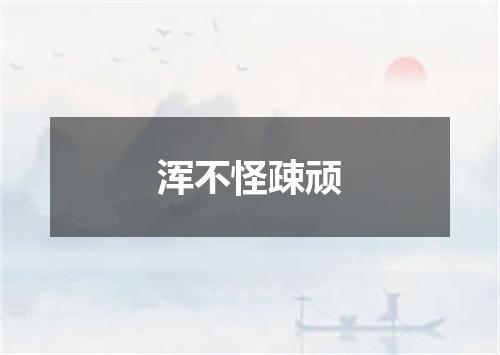 浑不怪疎顽