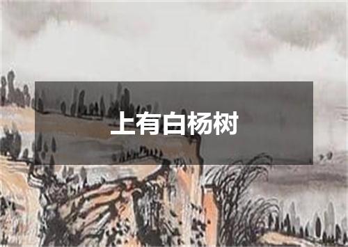 上有白杨树