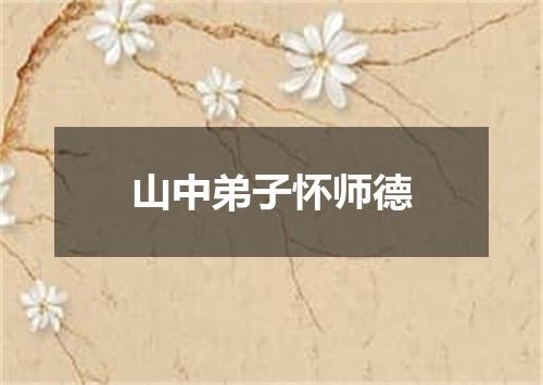 山中弟子怀师德