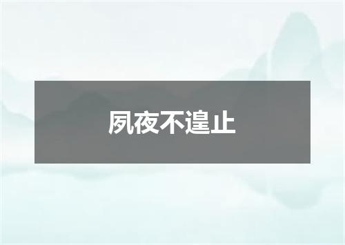 夙夜不遑止