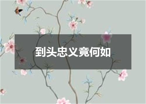 到头忠义竟何如
