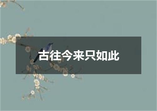 古往今来只如此