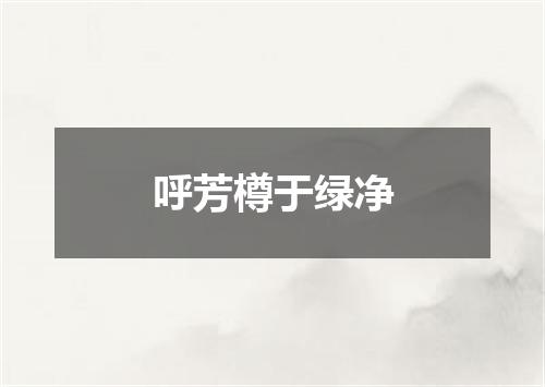 呼芳樽于绿净