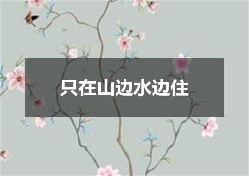 只在山边水边住