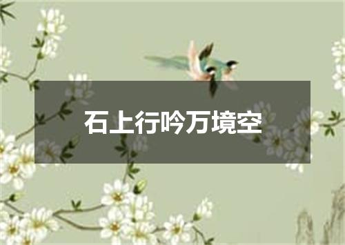 石上行吟万境空