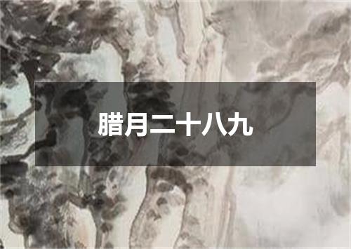 腊月二十八九