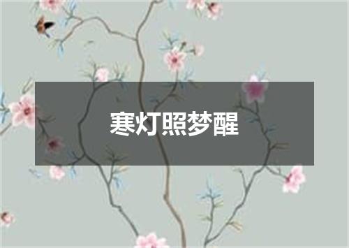 寒灯照梦醒