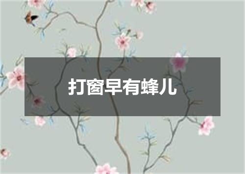 打窗早有蜂儿