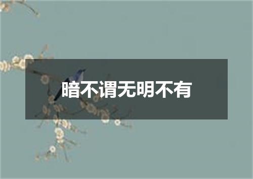 暗不谓无明不有