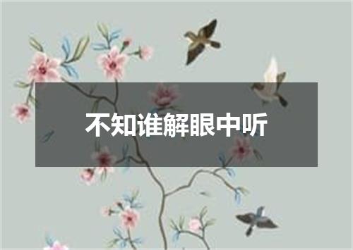 不知谁解眼中听