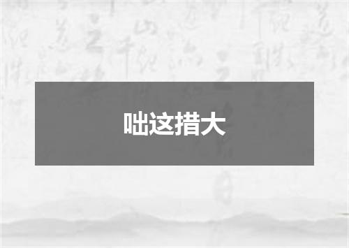 咄这措大
