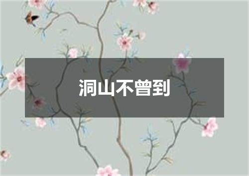 洞山不曾到